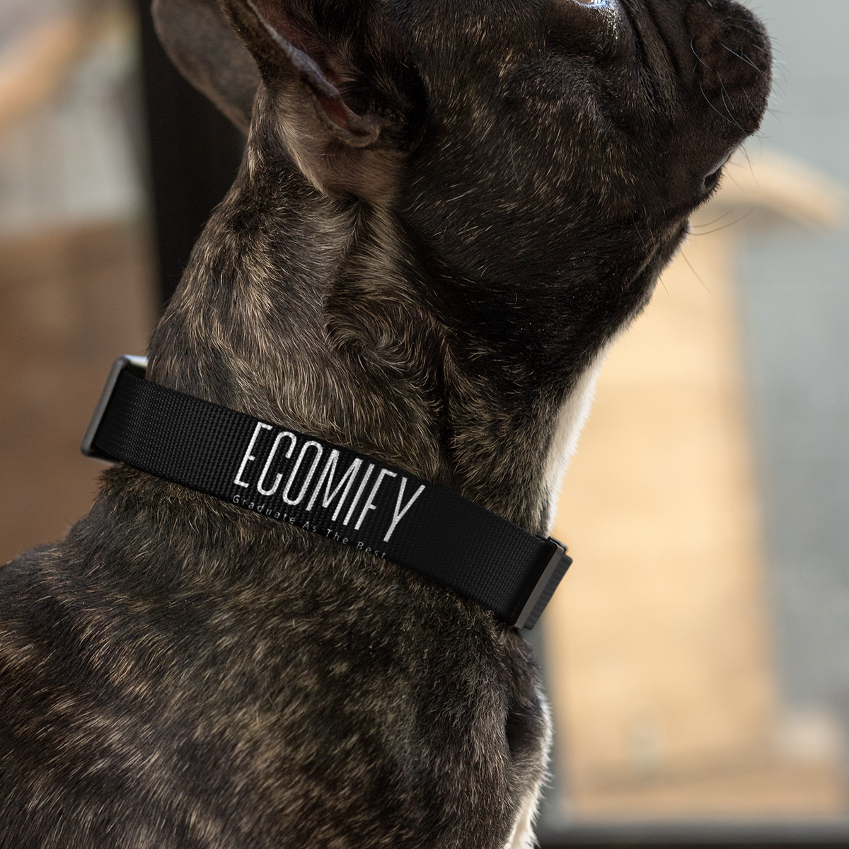 Ecomify® Pawfect Dog Collar