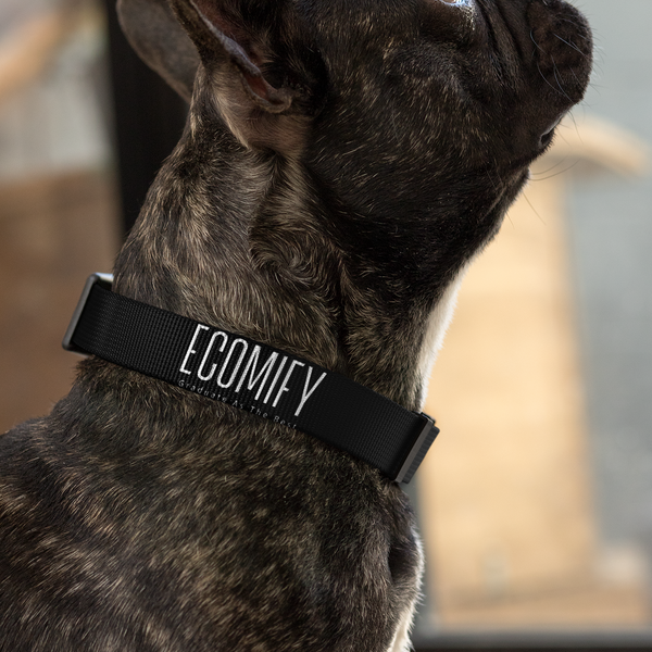 Ecomify® Pawfect Dog Collar