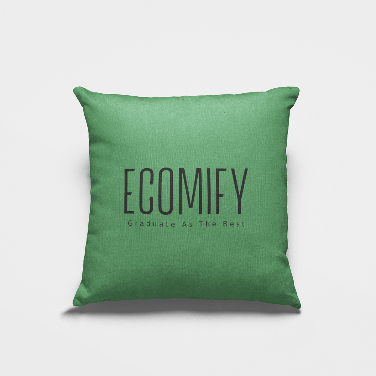 Ecomify™ Pillow