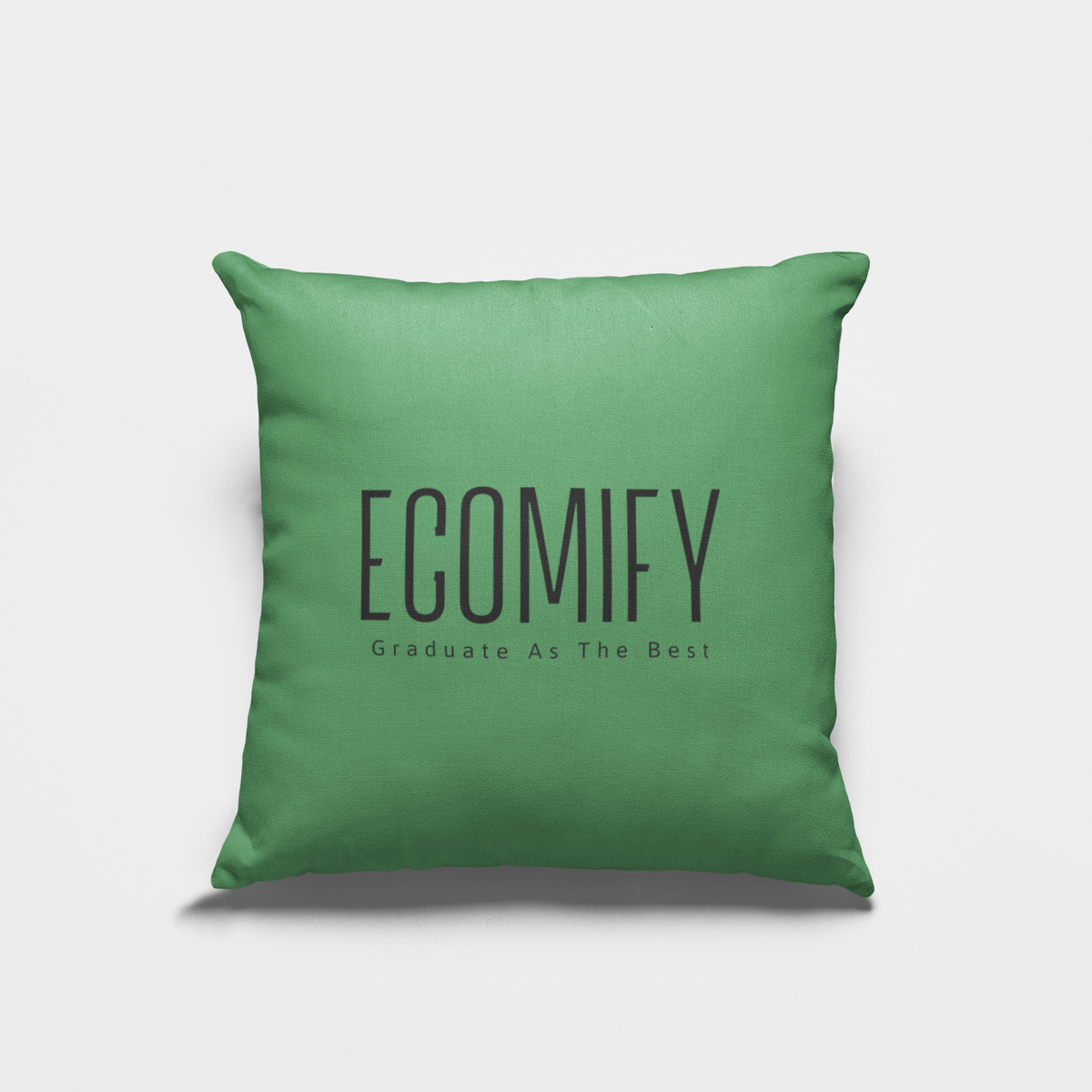 Ecomify® Pillow